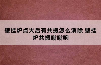 壁挂炉点火后有共振怎么消除 壁挂炉共振嗡嗡响